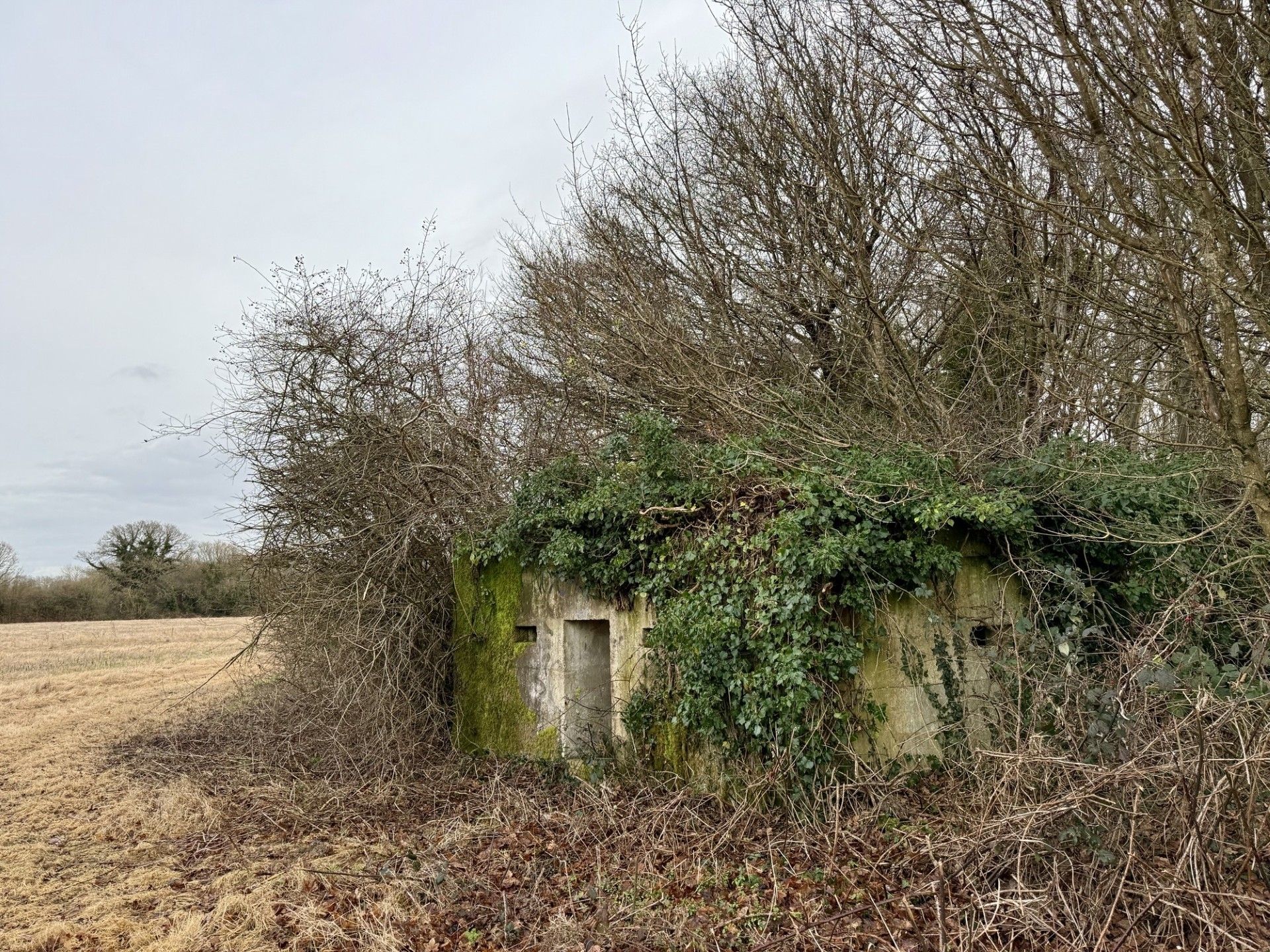 Pillbox 3